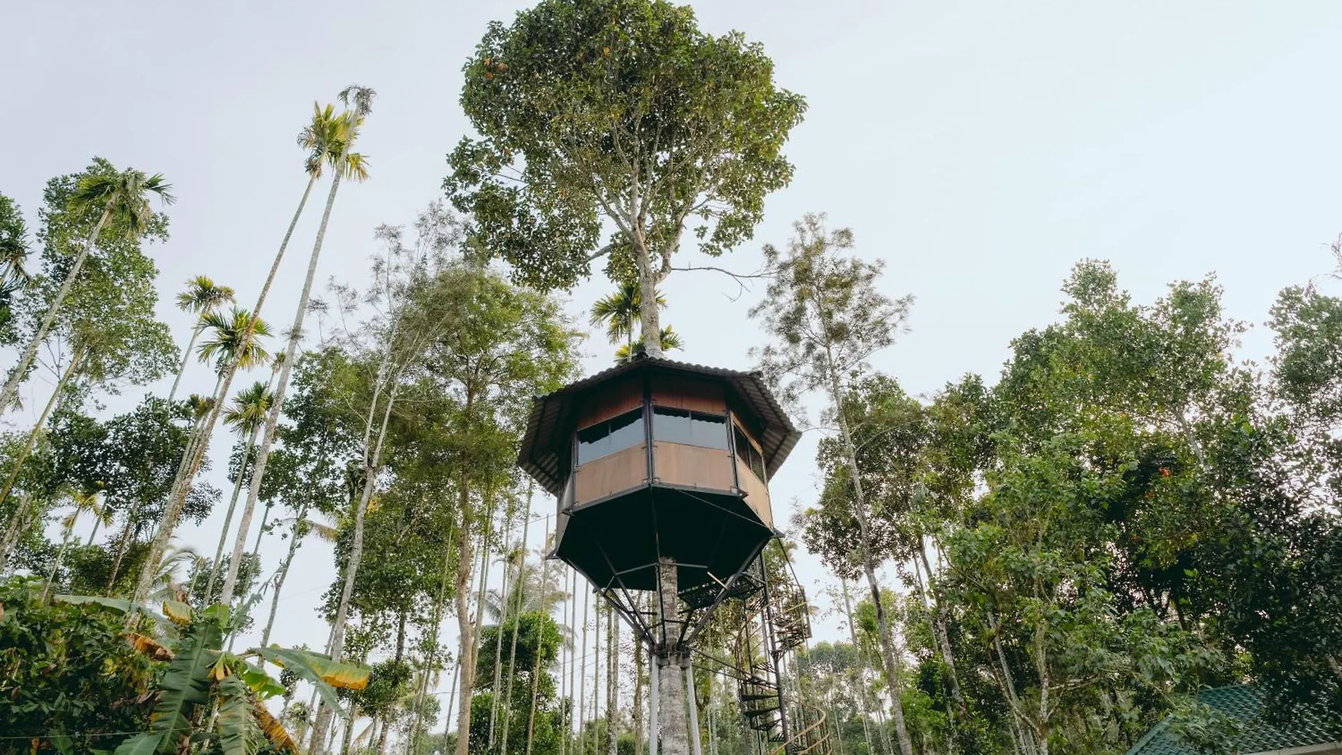 Lilliput Haven Homestay Sultan Bathery