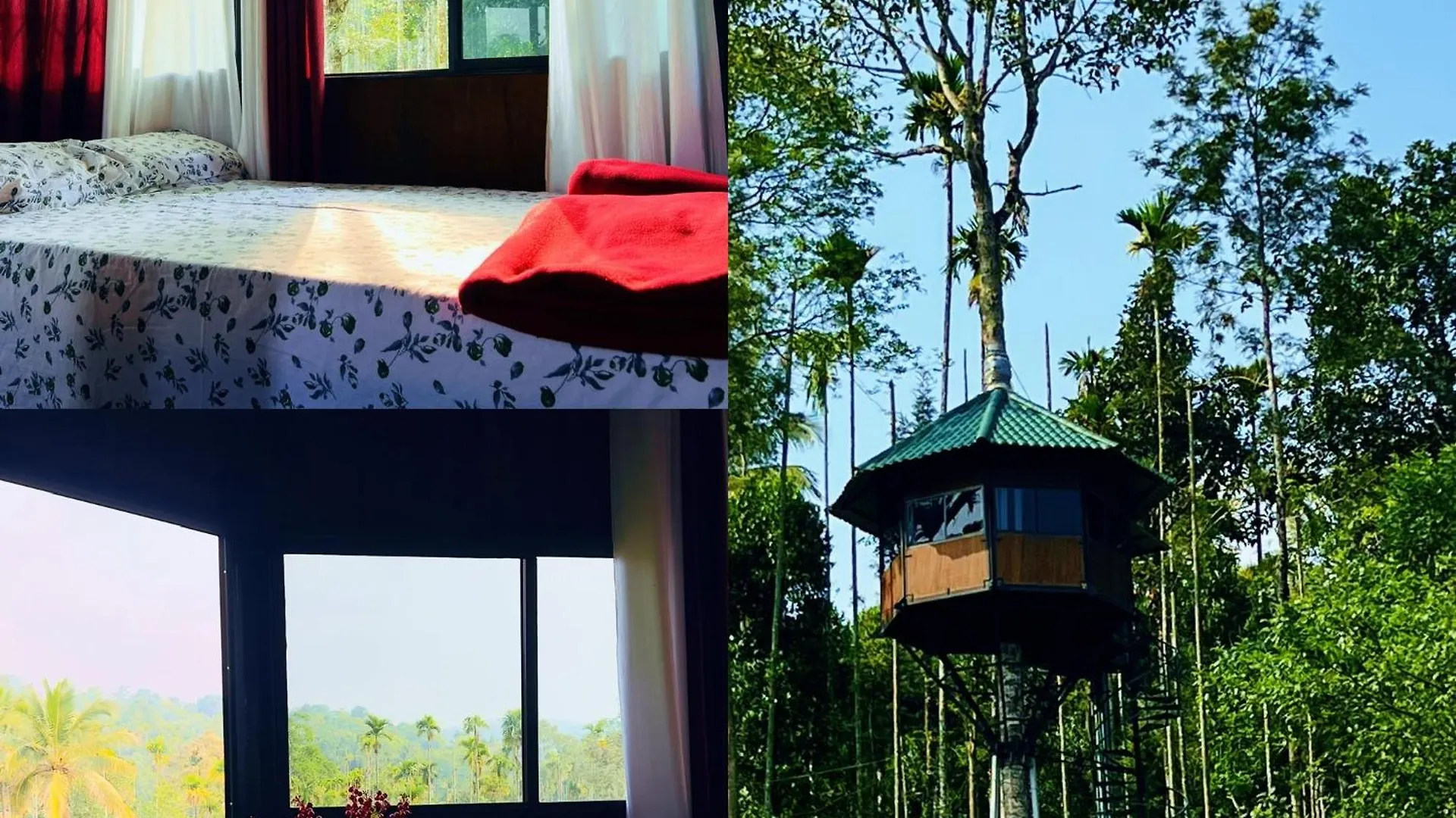 Lilliput Haven Homestay Sultan Bathery